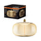 BOMBILLA LED DECORATIVA GRANDE OSRAM Vintage 1906® CON ESTILO MAGNÉTICO DE FILAMENTO Lámpara LED Ámbar, regulable, 12 W, E27, ELIPSE, Blanco cálido confort