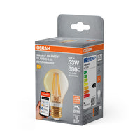 OSRAM Matter SMART+ LED-Lampe mit WiFi Technologie in Gold Glas, Sockel E27, Dimmbar,Warmweiß (2400K), ersetzt Glühlampen mit 53 W, SMART+ WiFi Classic Dimmable, 1er-Pack