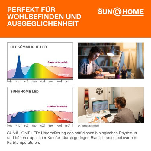 LEDVANCE Wifi SUN@HOME Moodlight LED Leuchte 4W / 2200-5000K-Tischlampen-LEDVANCE Shop