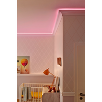 LEDVANCE Wand- und Deckenleuchte, Außenleuchte, NEON FLEX / 19 W, 220…240 V, Ausstrahlungswinkel: 110°, Warm White, 3000 K, Gehäusematerial: Silikon, IP44-LEDVANCE-LEDVANCE Shop
